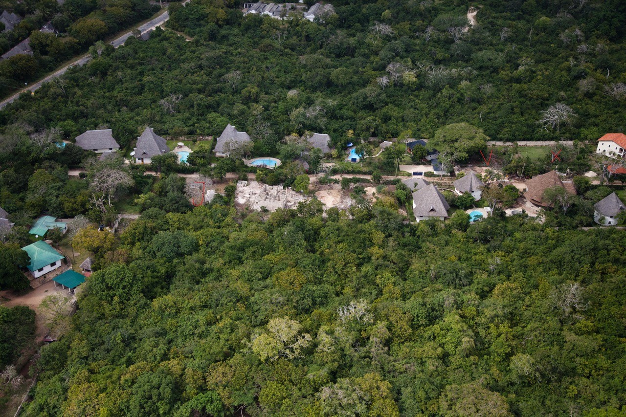 Msitu Kwetu · neighbouring villas with thatched roofs and pools
