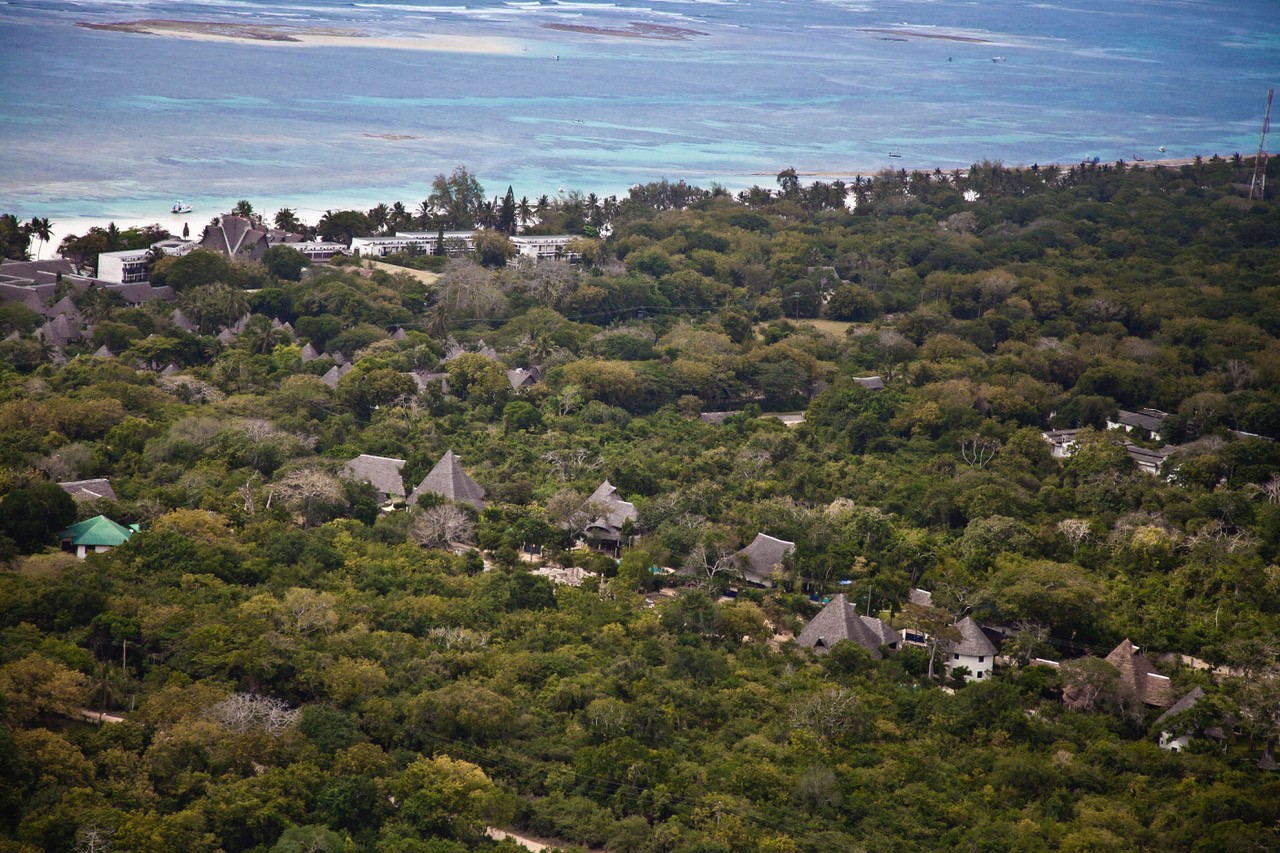 Msitu Kwetu · view from the air showing the Indian Ocean beyond the coastal forest