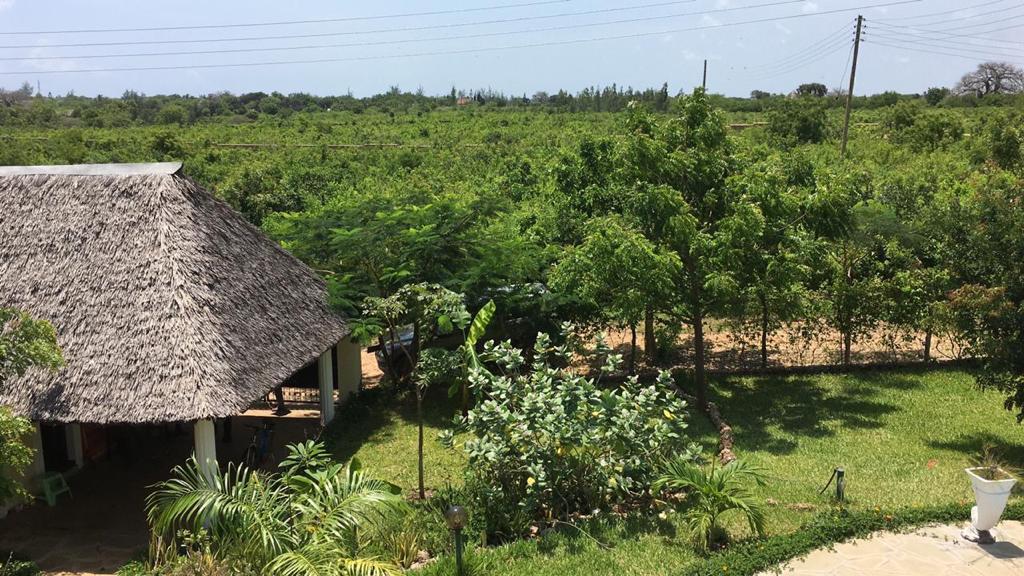 Asili Yetu — thatched roof villa overlooking lush green coastal landscape