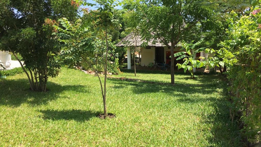 Asili Yetu — thatched cottage nestled among trees in a quiet garden plot