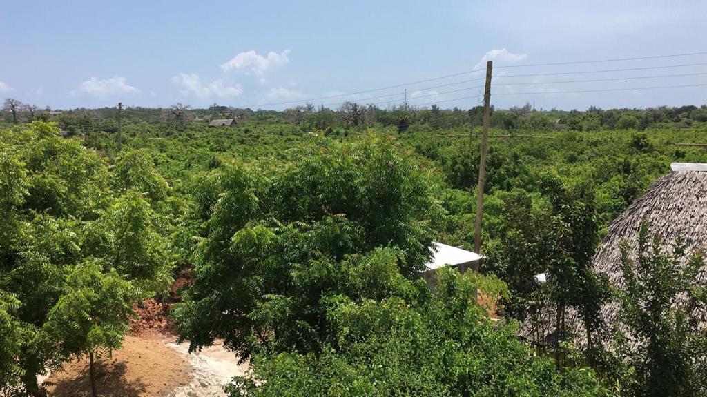 Asili Yetu — surroundings near Diani Beach
