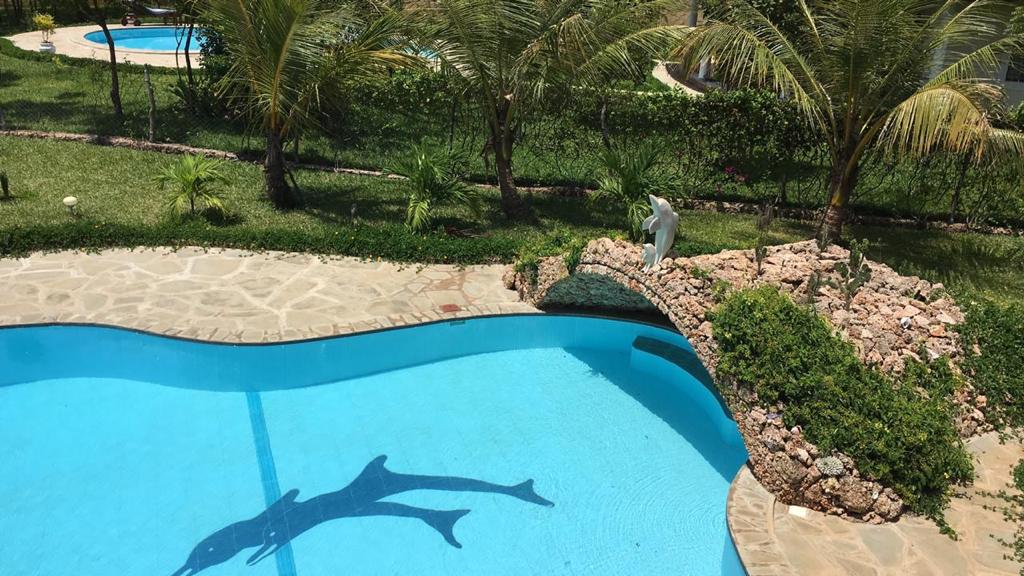Asili Yetu — pool with palms