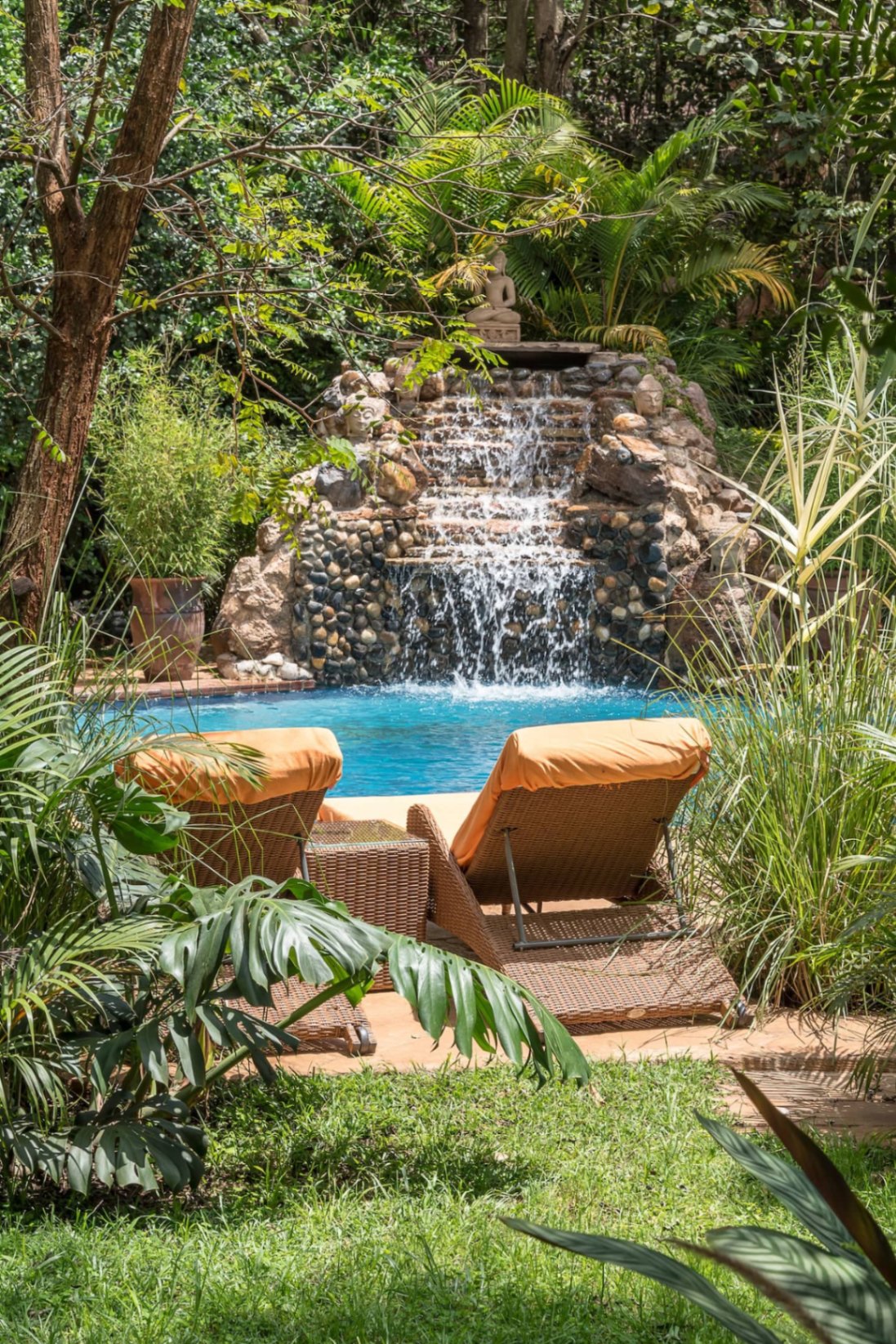 Jungle Oasis — waterfall and loungers framed by ferns