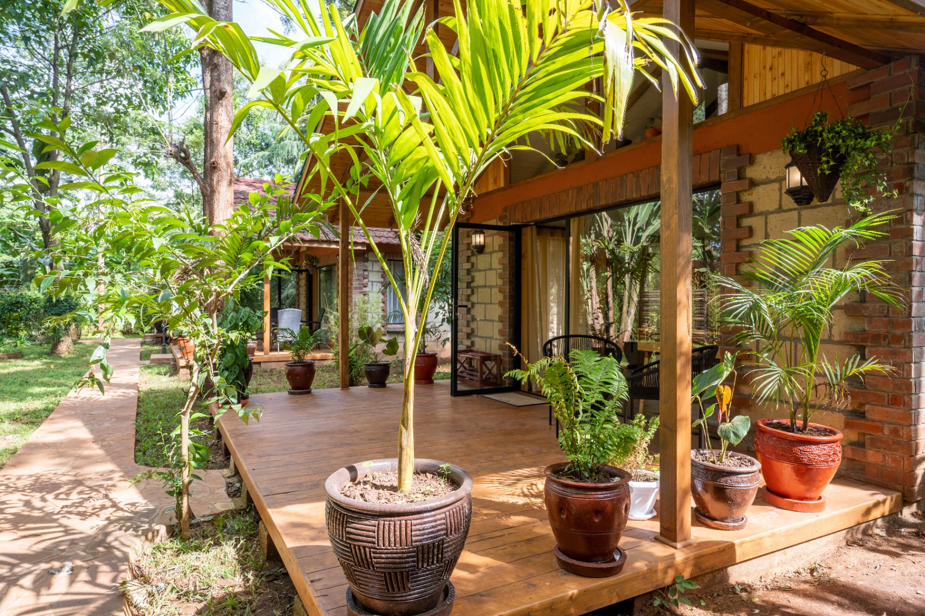 Jungle Oasis — timber deck veranda framed by tropical palms and potted plants