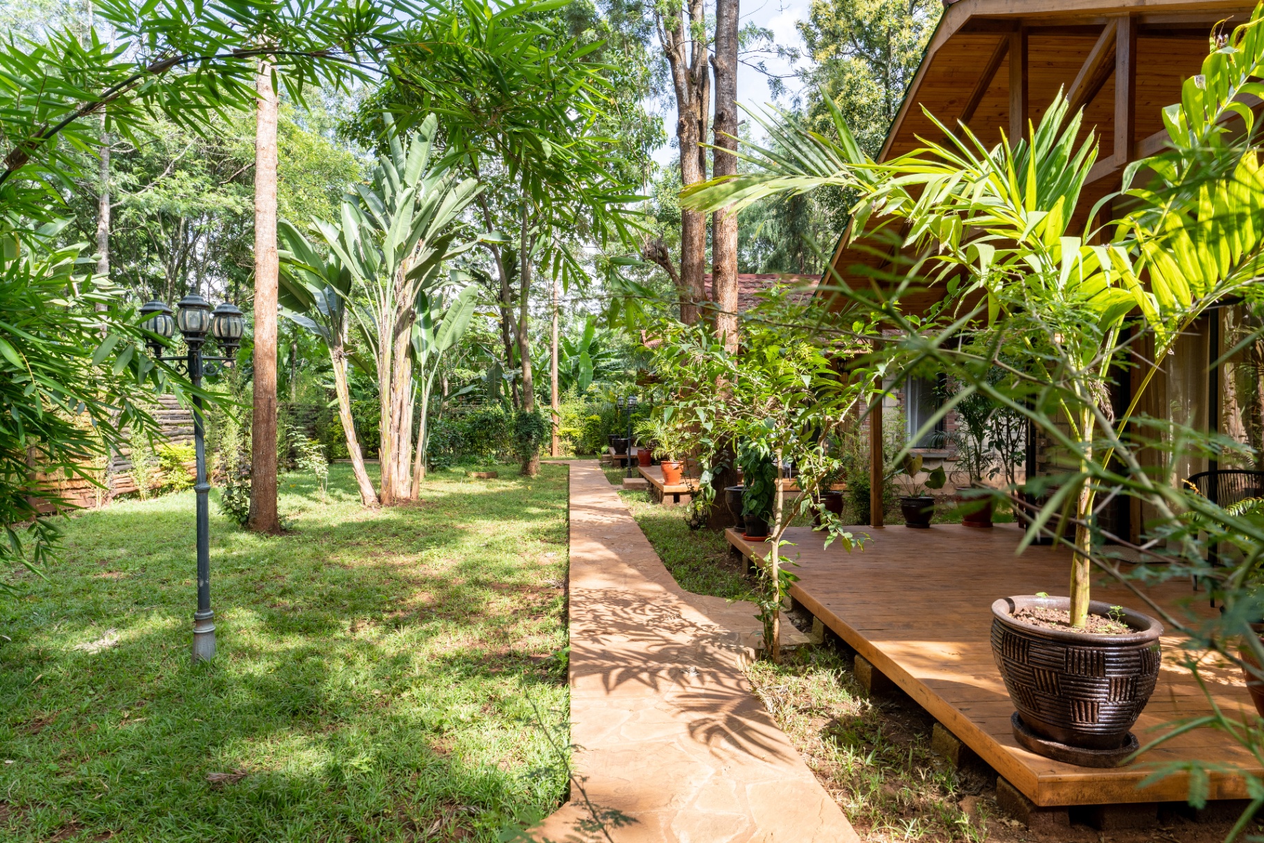 Jungle Oasis — garden pathway leading past cottages through lush greenery