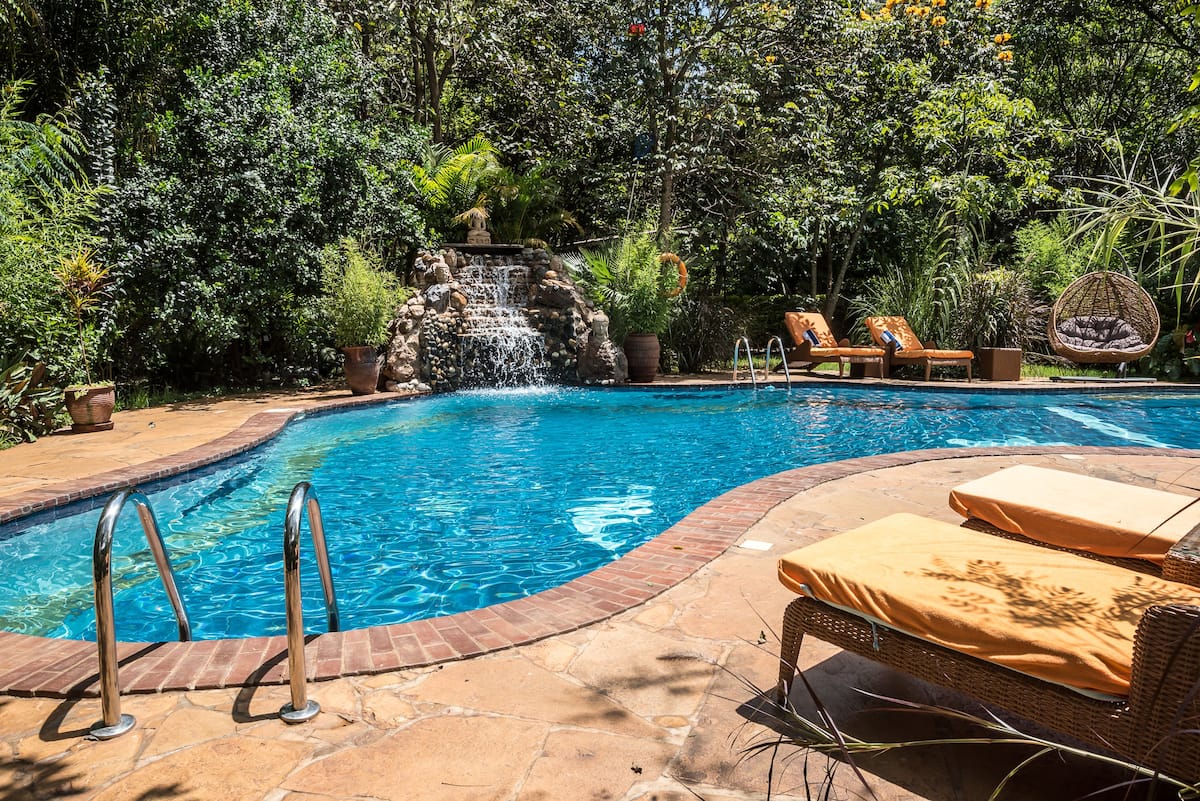 Jungle Oasis